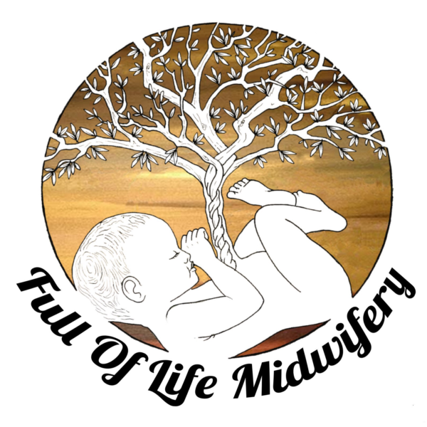Mimi Casseus Full of Life Midwifery