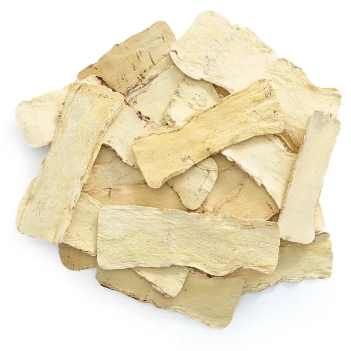 Astragalus Root